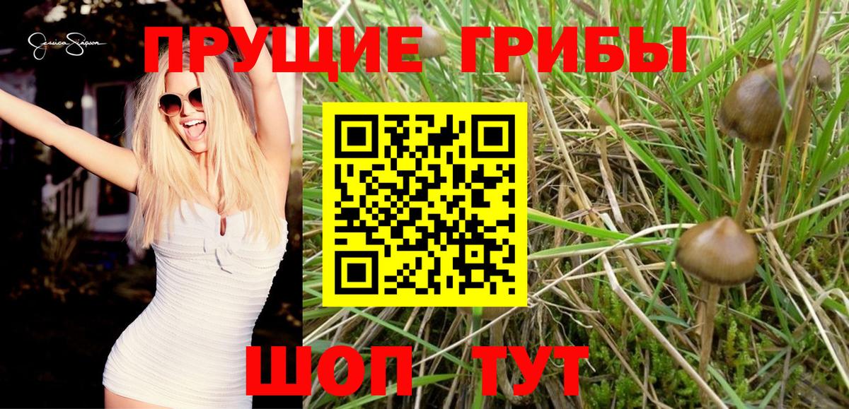 Псилоцибиновые грибы Magic Shrooms Краснознаменск