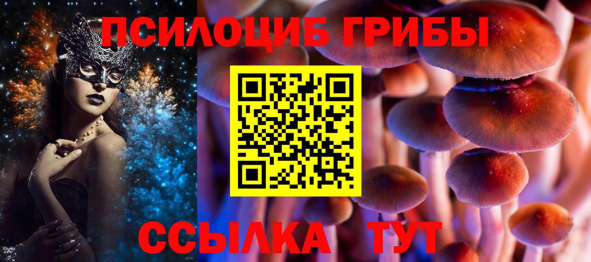 где купить   Галлюциногенные грибы прущие грибы  Вход с VPN  Галлюциногенные грибы MAGIC MUSHROOMS  Краснознаменск 